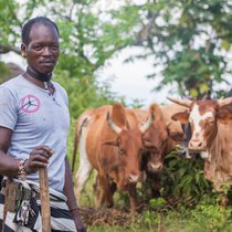 Mekonnen and cows.jpg